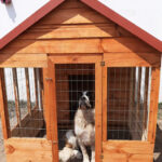 d-kennel